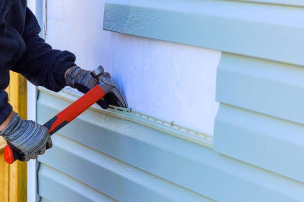 Best Steel Siding Installation  in Cane Savannah, SC